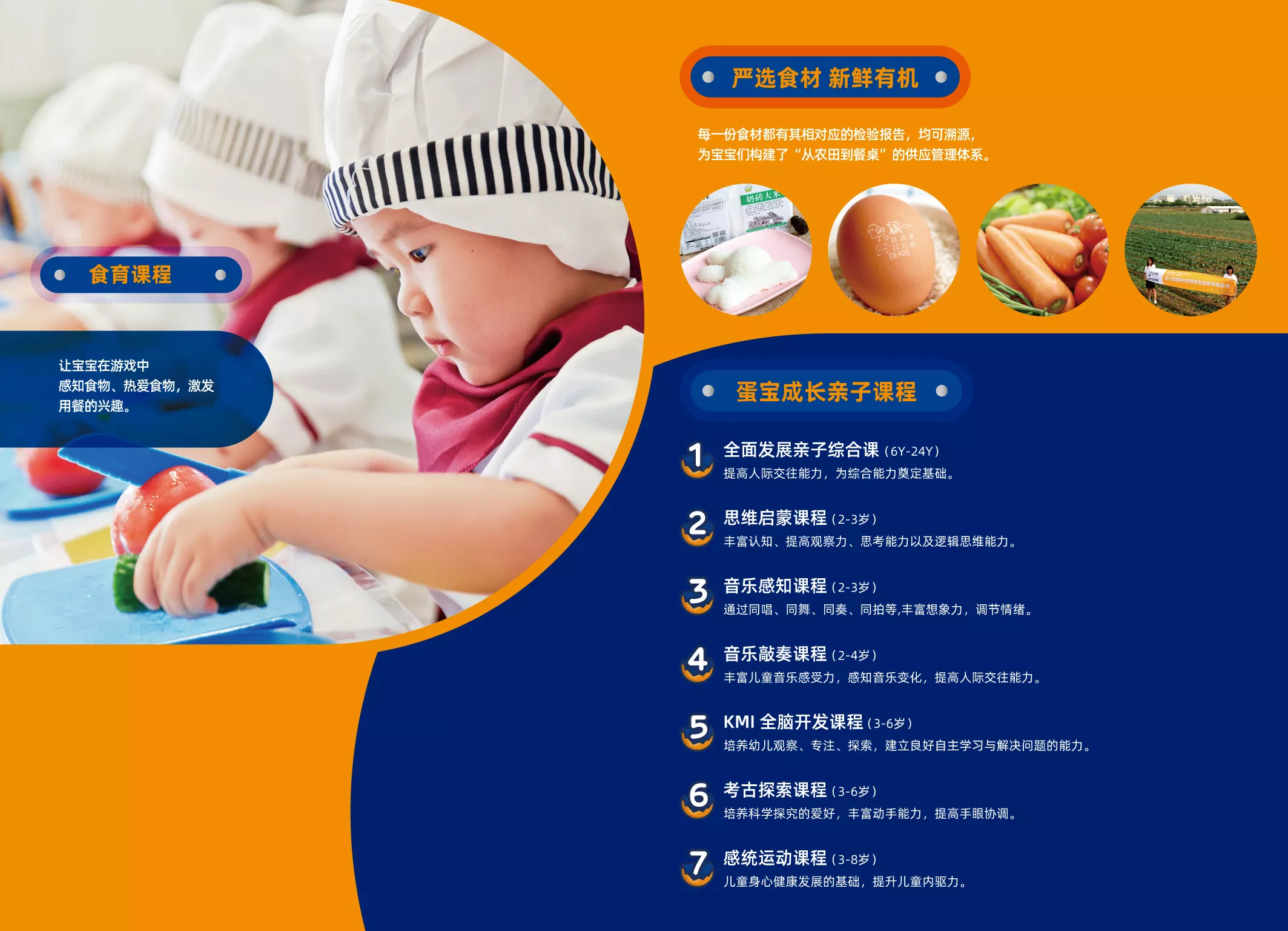 鸽子蛋品牌画册-新1-13.jpg