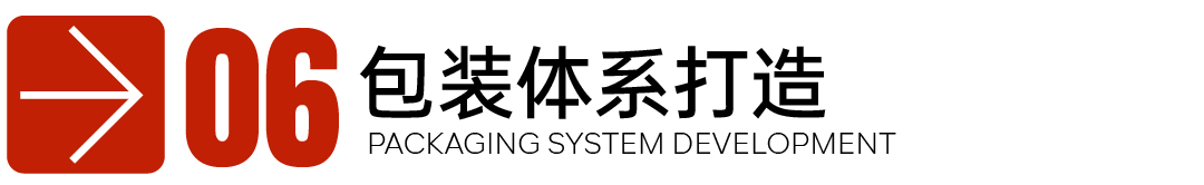 缇隐-案例配图_画板 1 副本 6.jpg